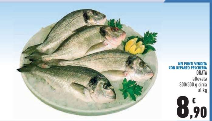 Orata