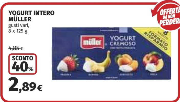 Yogurt Intero Müller
