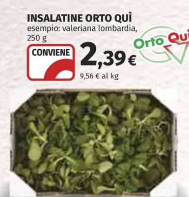 INSALATINE ORTO QUÌ