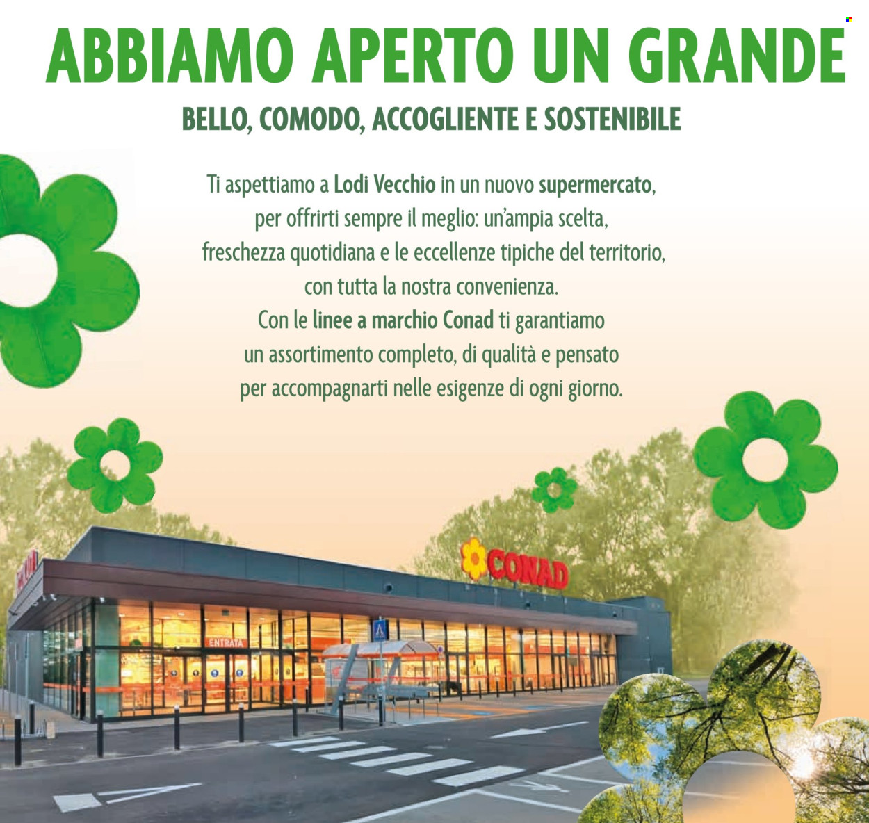 Volantino Conad - 6/11/2025 - 18/11/2025. Pagina 2