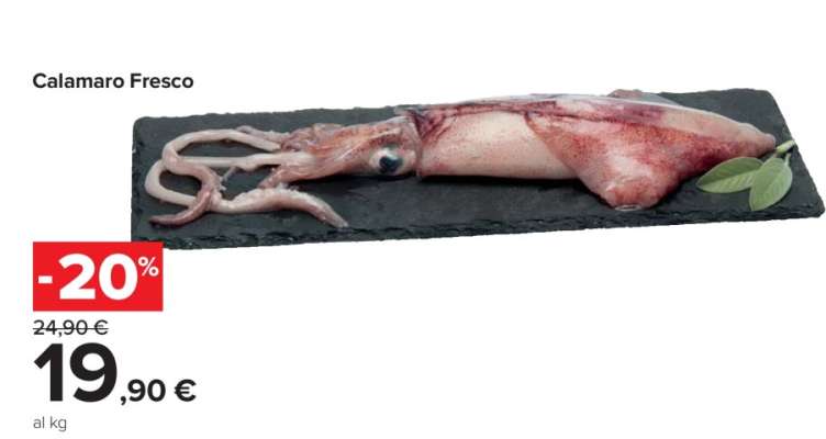 CALAMARO FRESCO