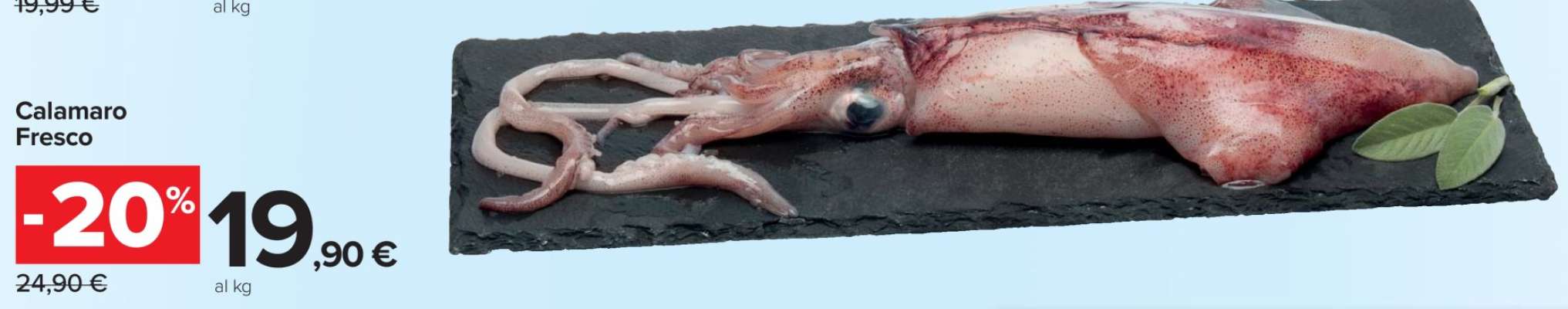 CALAMARO FRESCO
