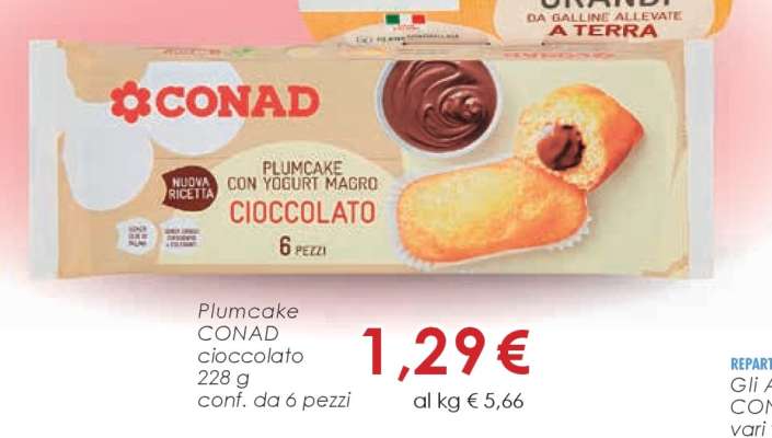 PLUMCAKE CONAD cioccolato