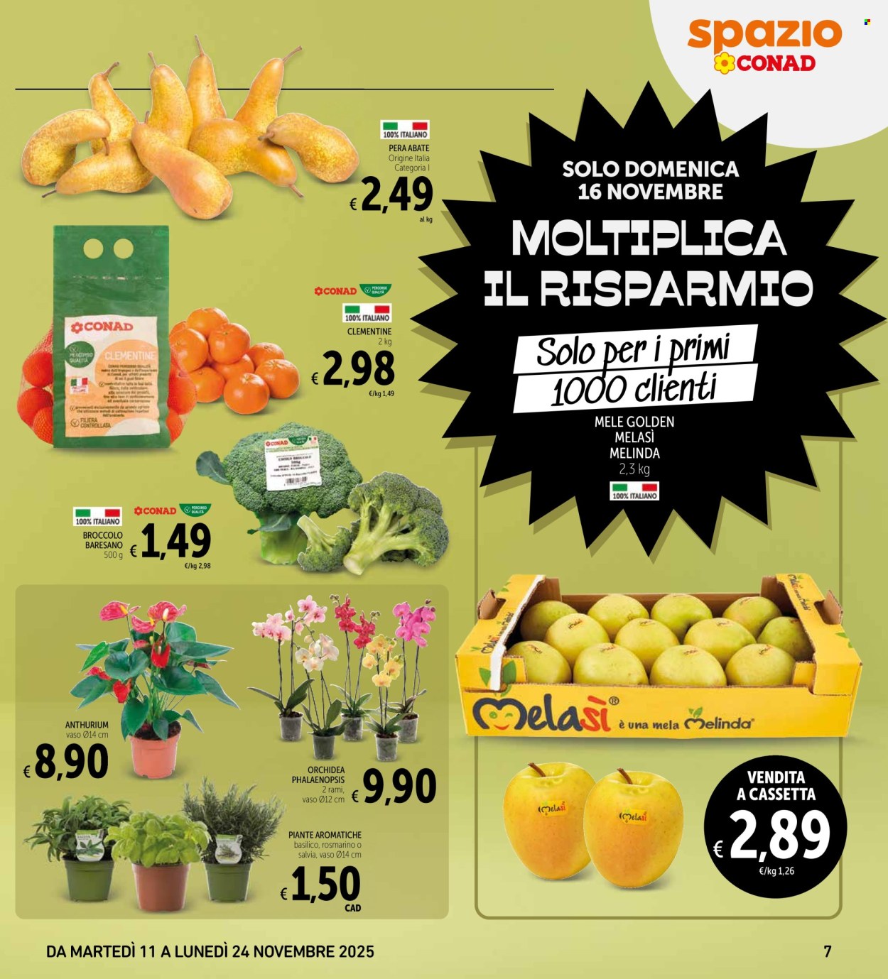 Volantino Spazio Conad - 11/11/2025 - 24/11/2025. Pagina 7