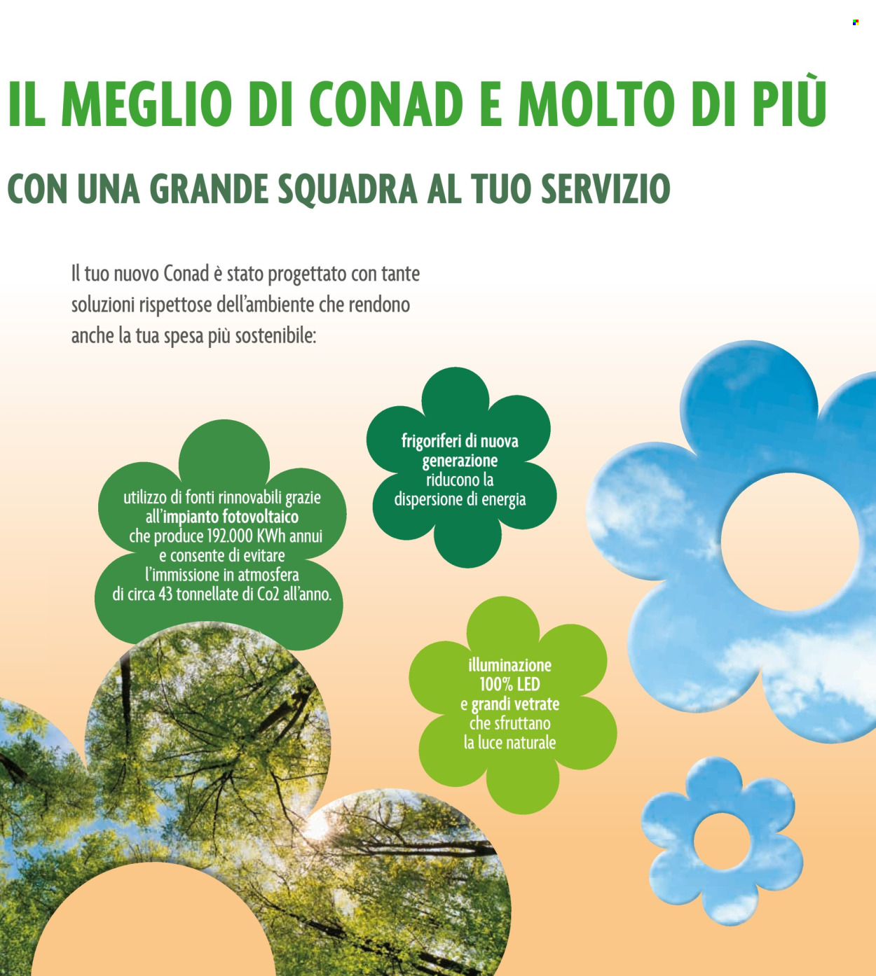 Volantino Conad - 12/11/2025 - 18/11/2025. Pagina 5