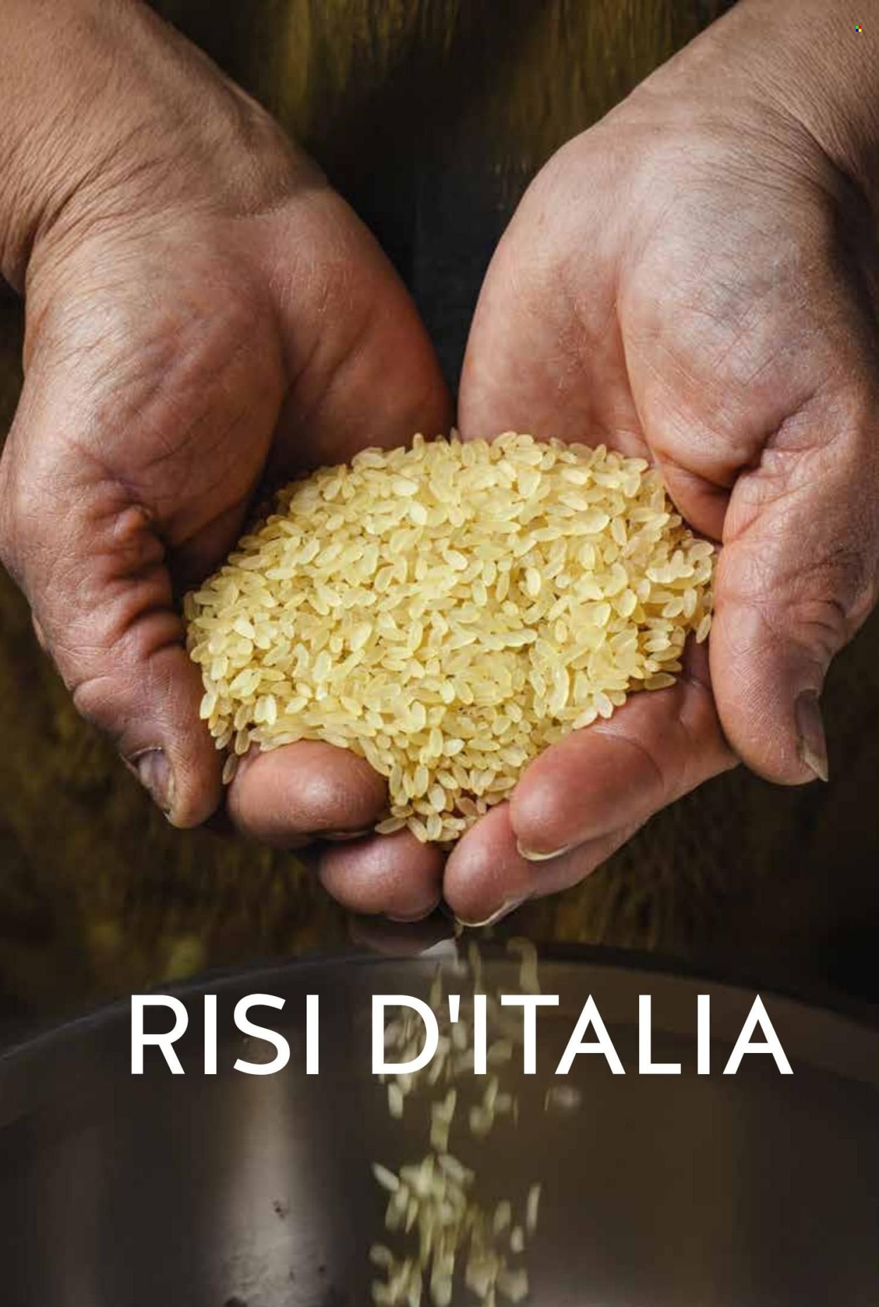 Volantino COAL. Pagina 6