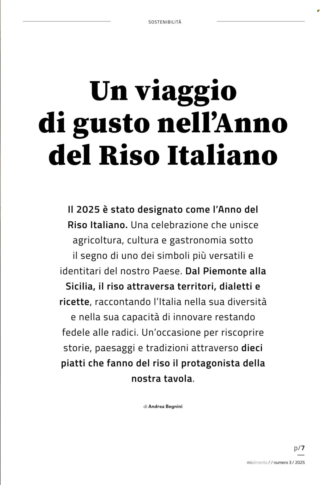 Volantino COAL. Pagina 7