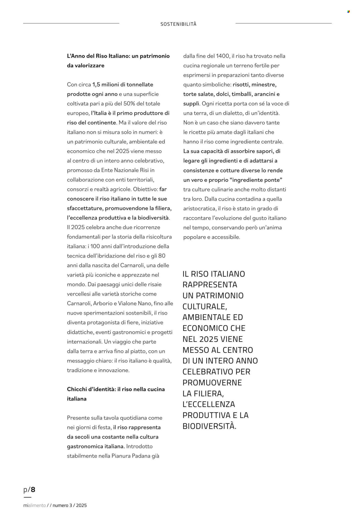 Volantino COAL. Pagina 8