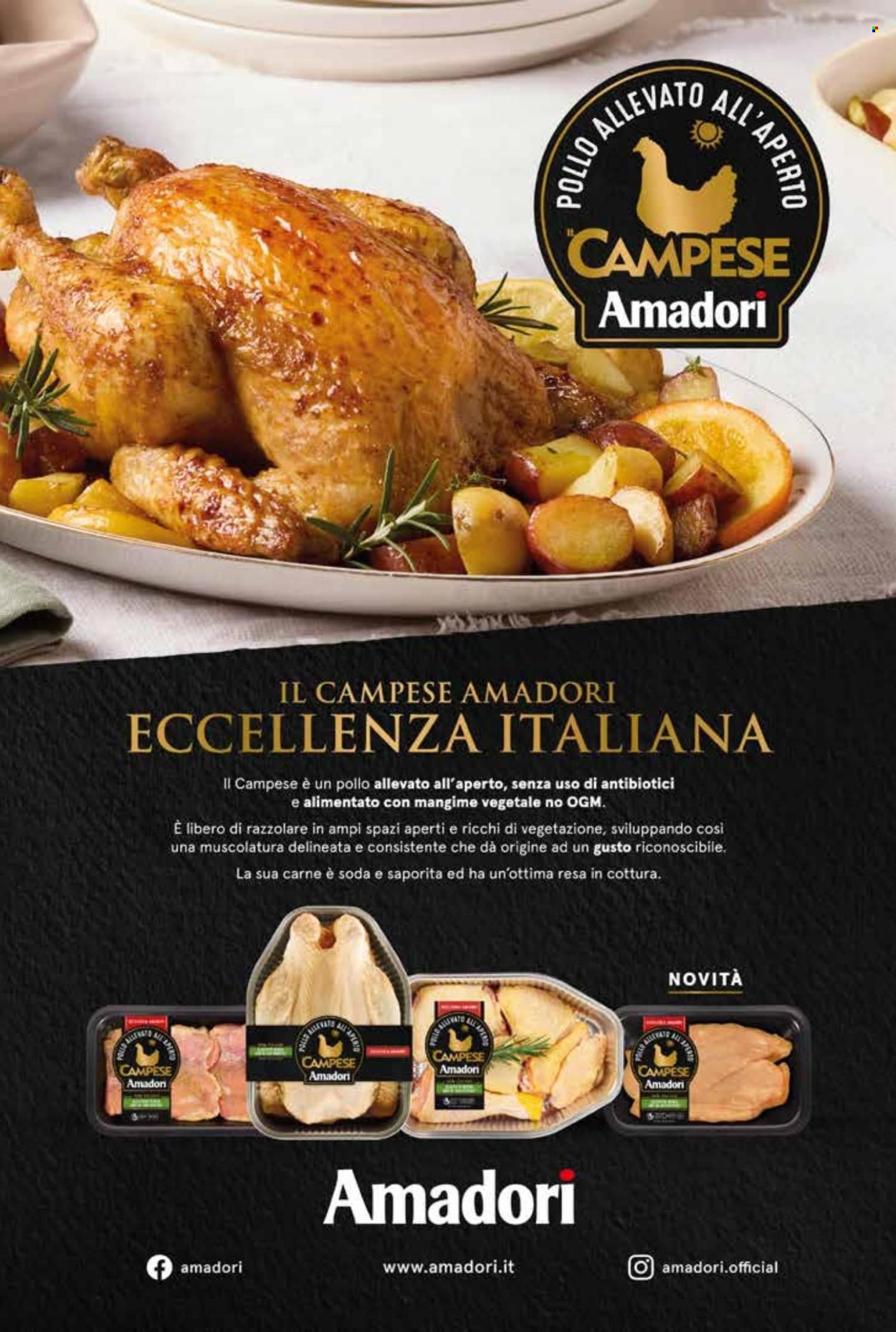 Volantino COAL. Pagina 10