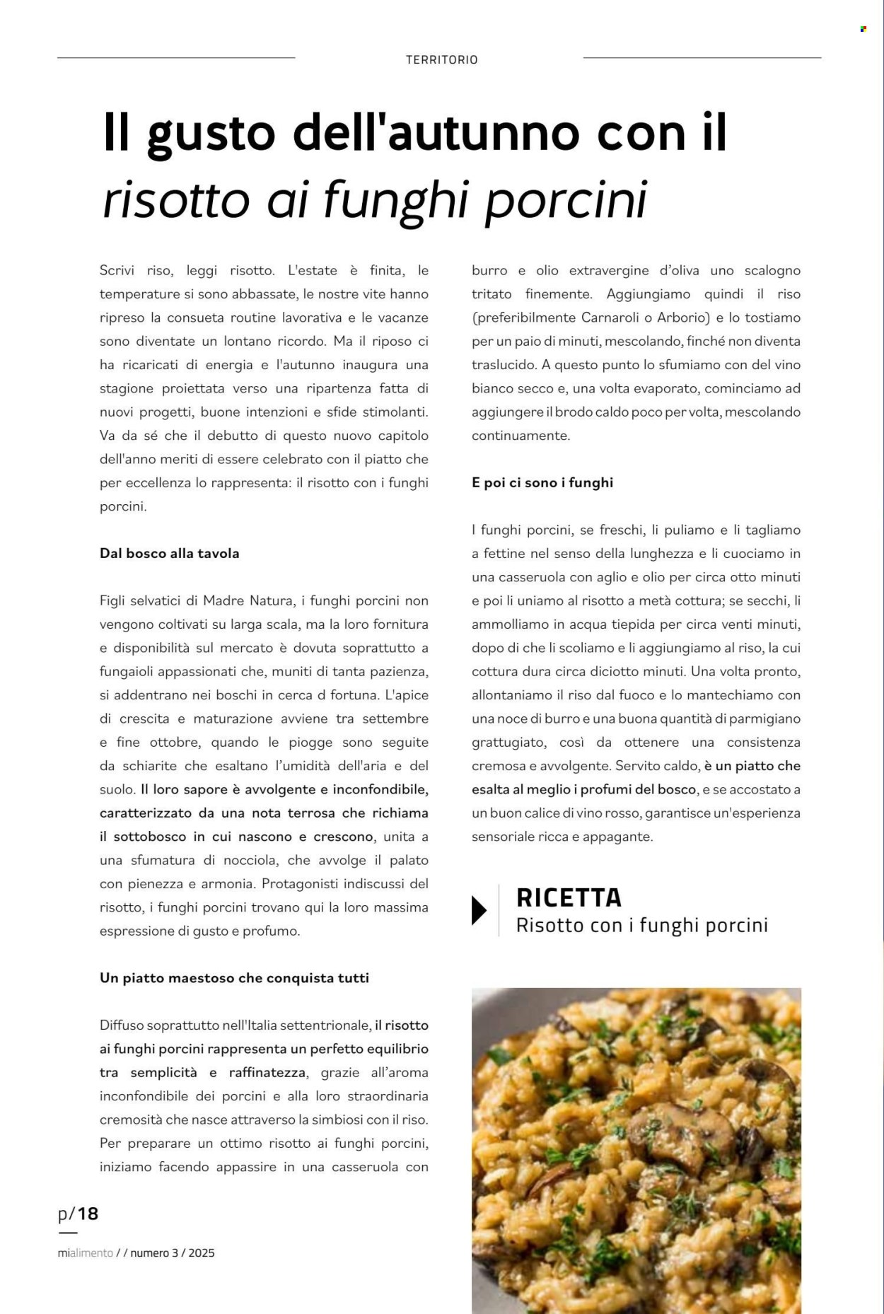 Volantino COAL. Pagina 18