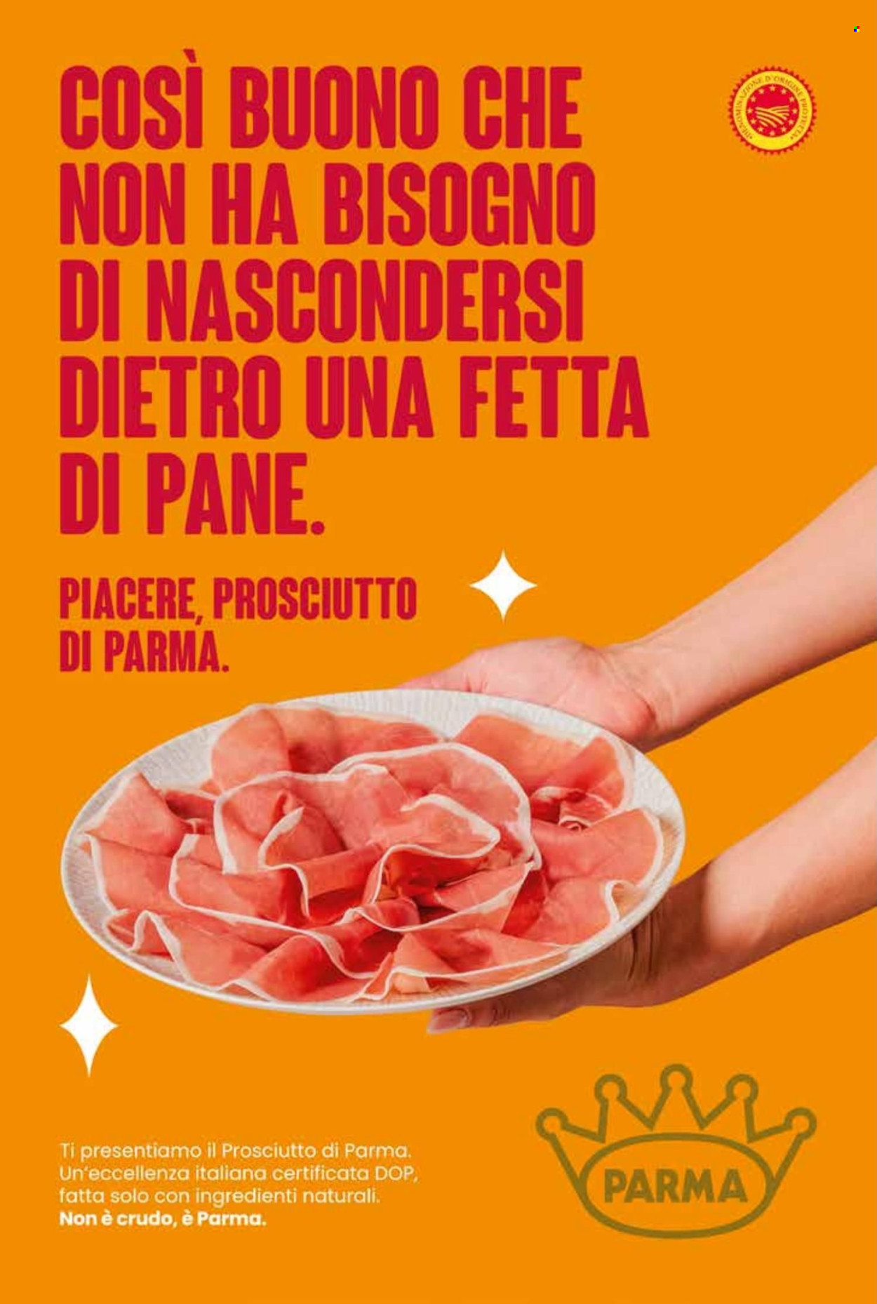 Volantino COAL. Pagina 22