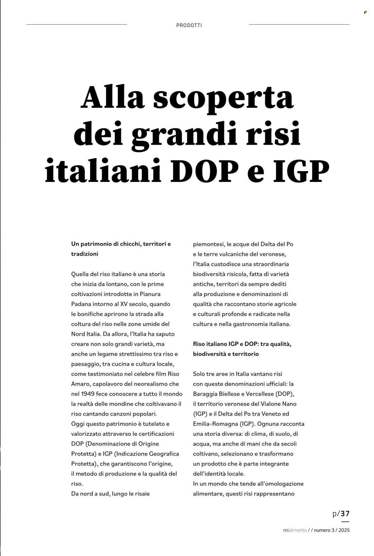 Volantino COAL. Pagina 37