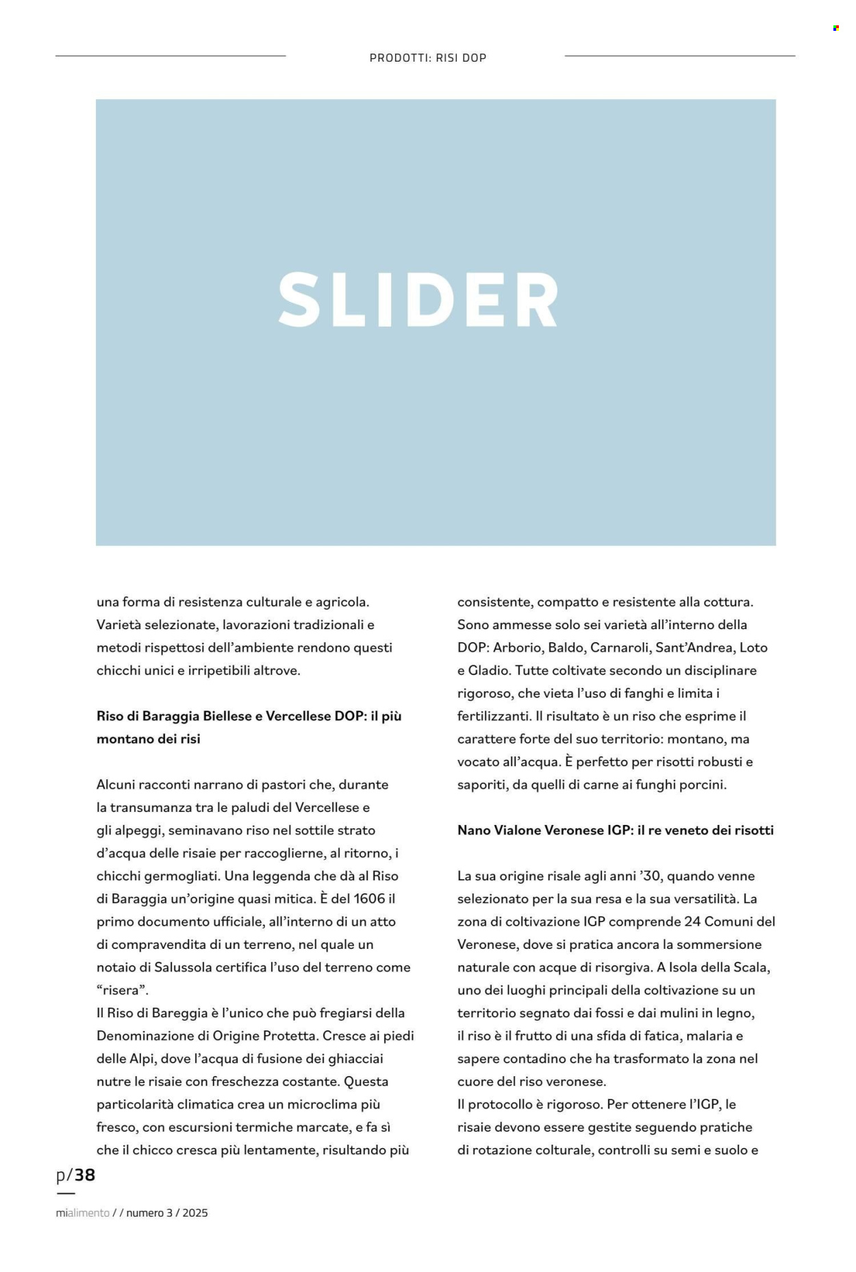 Volantino COAL. Pagina 38