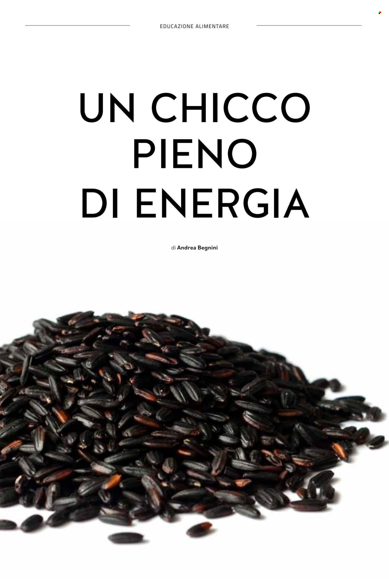 Volantino COAL. Pagina 40