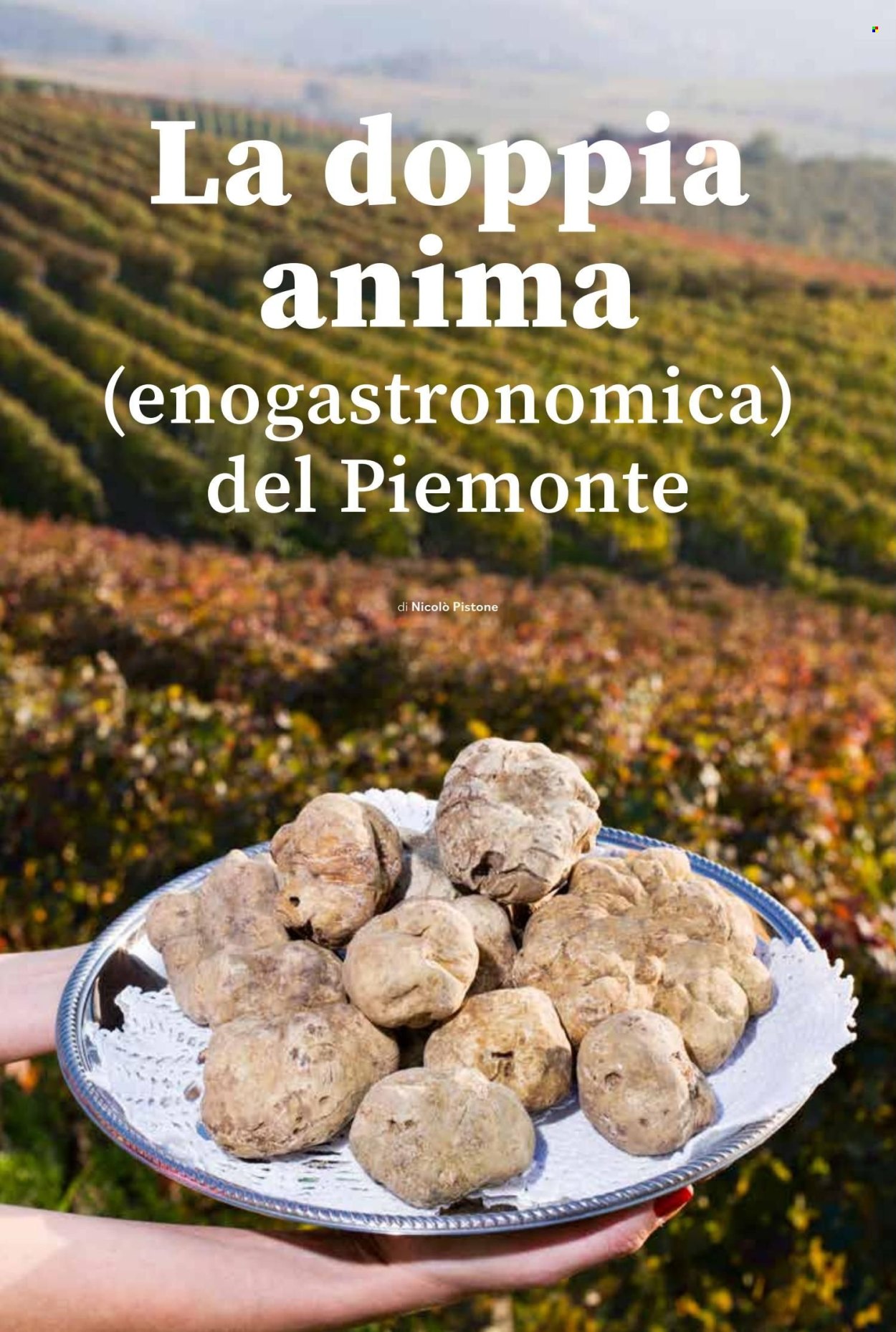 Volantino COAL. Pagina 54