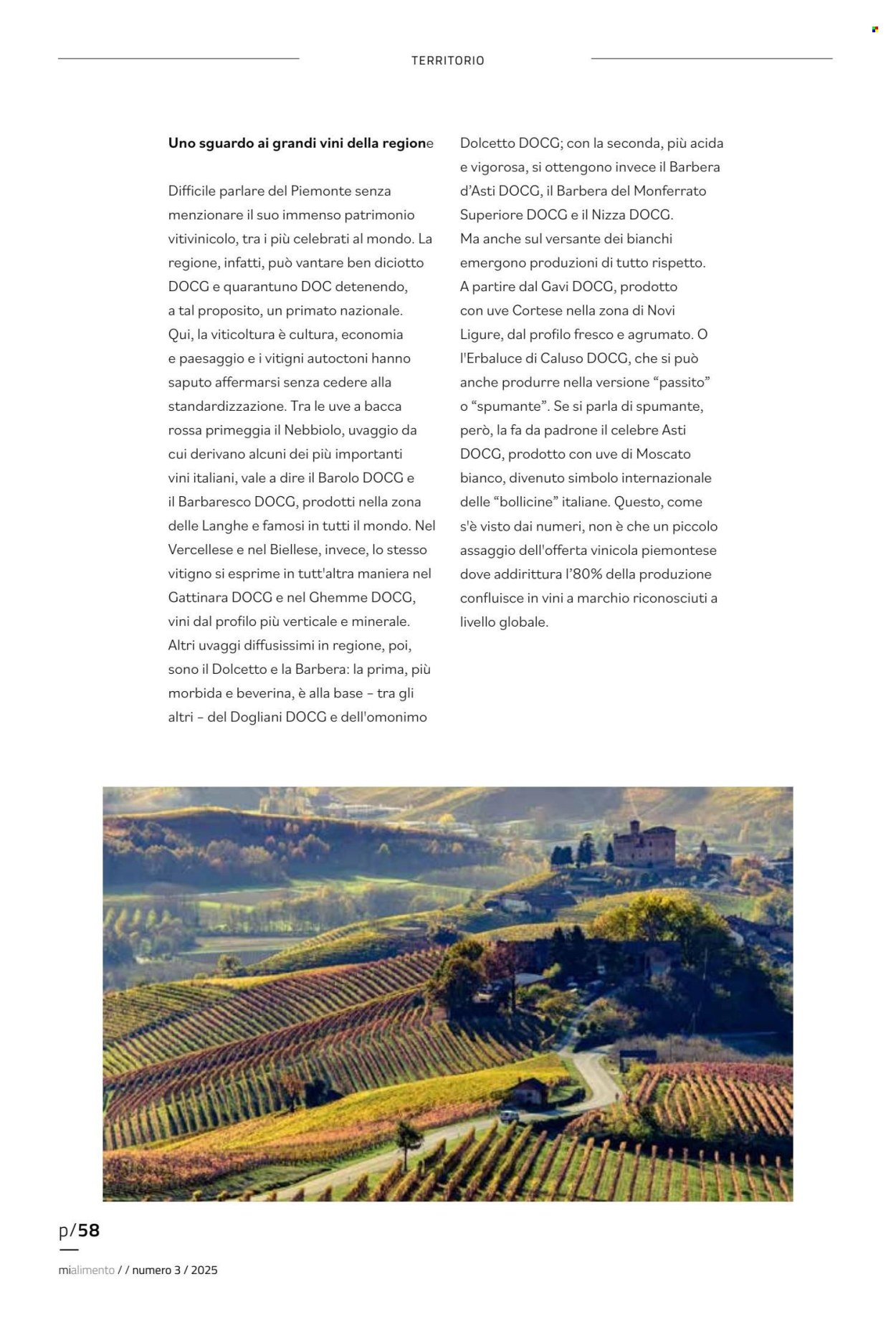 Volantino COAL. Pagina 58