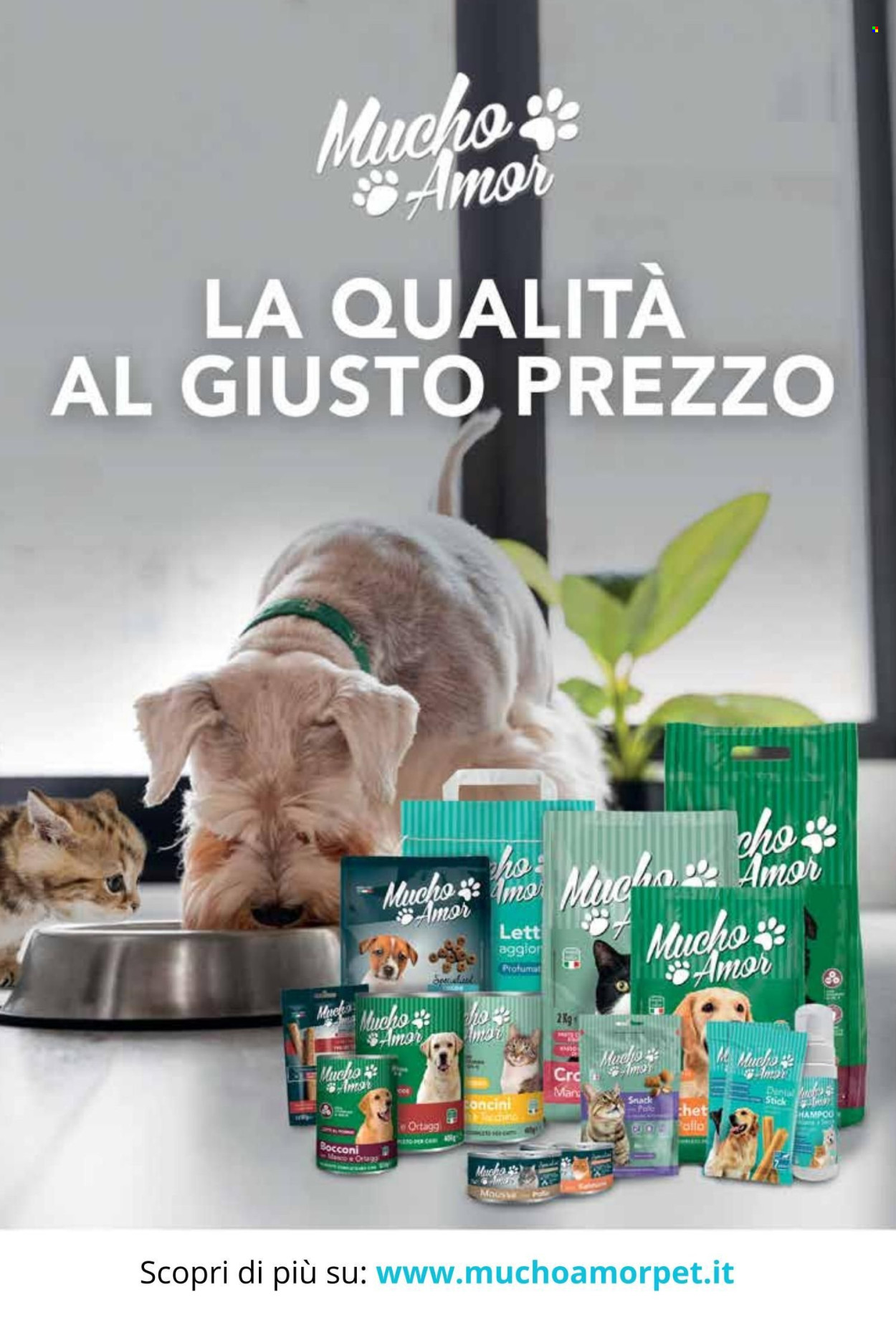 Volantino COAL. Pagina 80