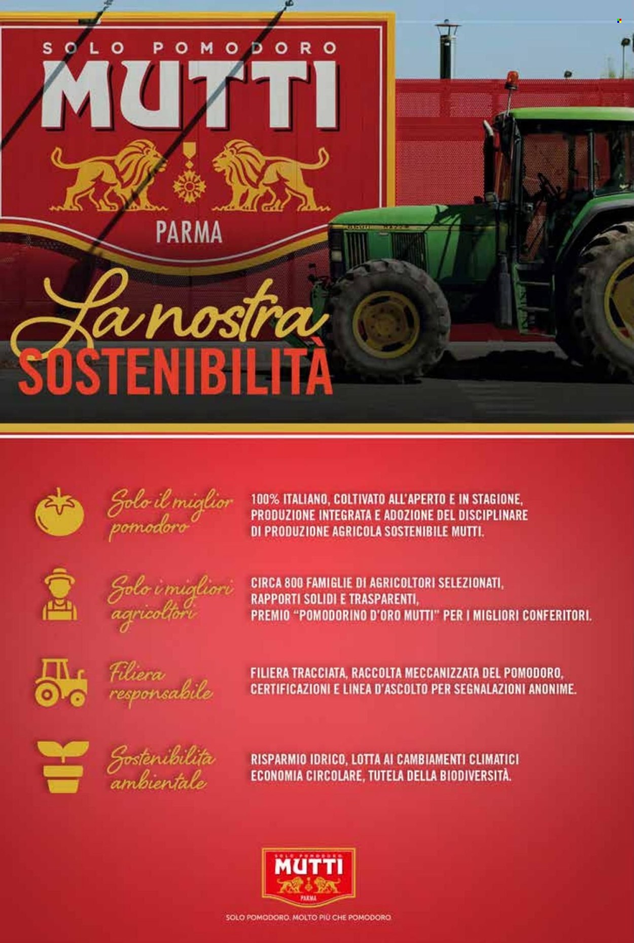 Volantino COAL. Pagina 84