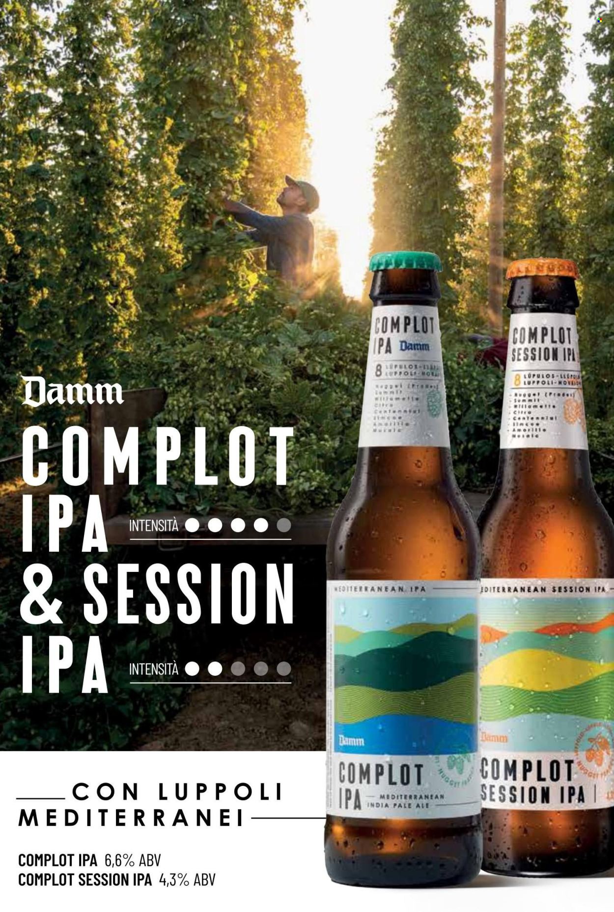 Volantino COAL. Pagina 93