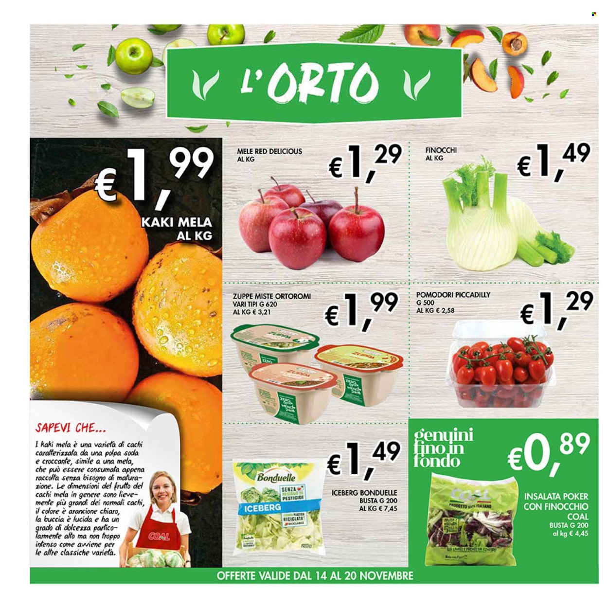 Volantino COAL - 14/11/2025 - 27/11/2025. Pagina 2