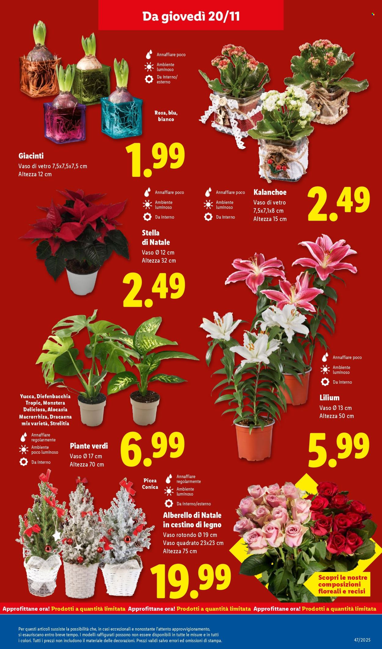 Volantino Lidl - 17/11/2025 - 23/11/2025. Pagina 43