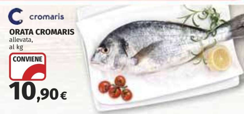 Orata Cromaris