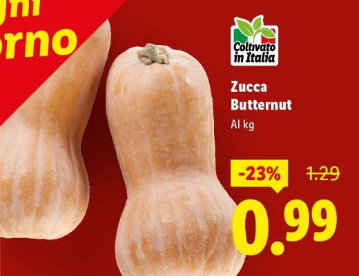 Zucca Butternut