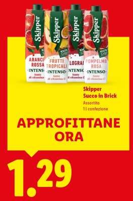 Skipper Succo in Brick