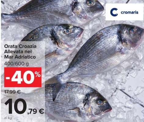 Orata Croazia Allevata nel Mar Adriatico