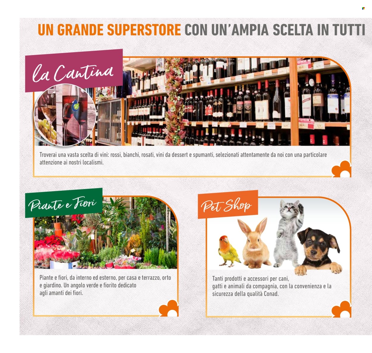 Volantino Conad Superstore - 22/11/2025 - 3/12/2025. Pagina 6