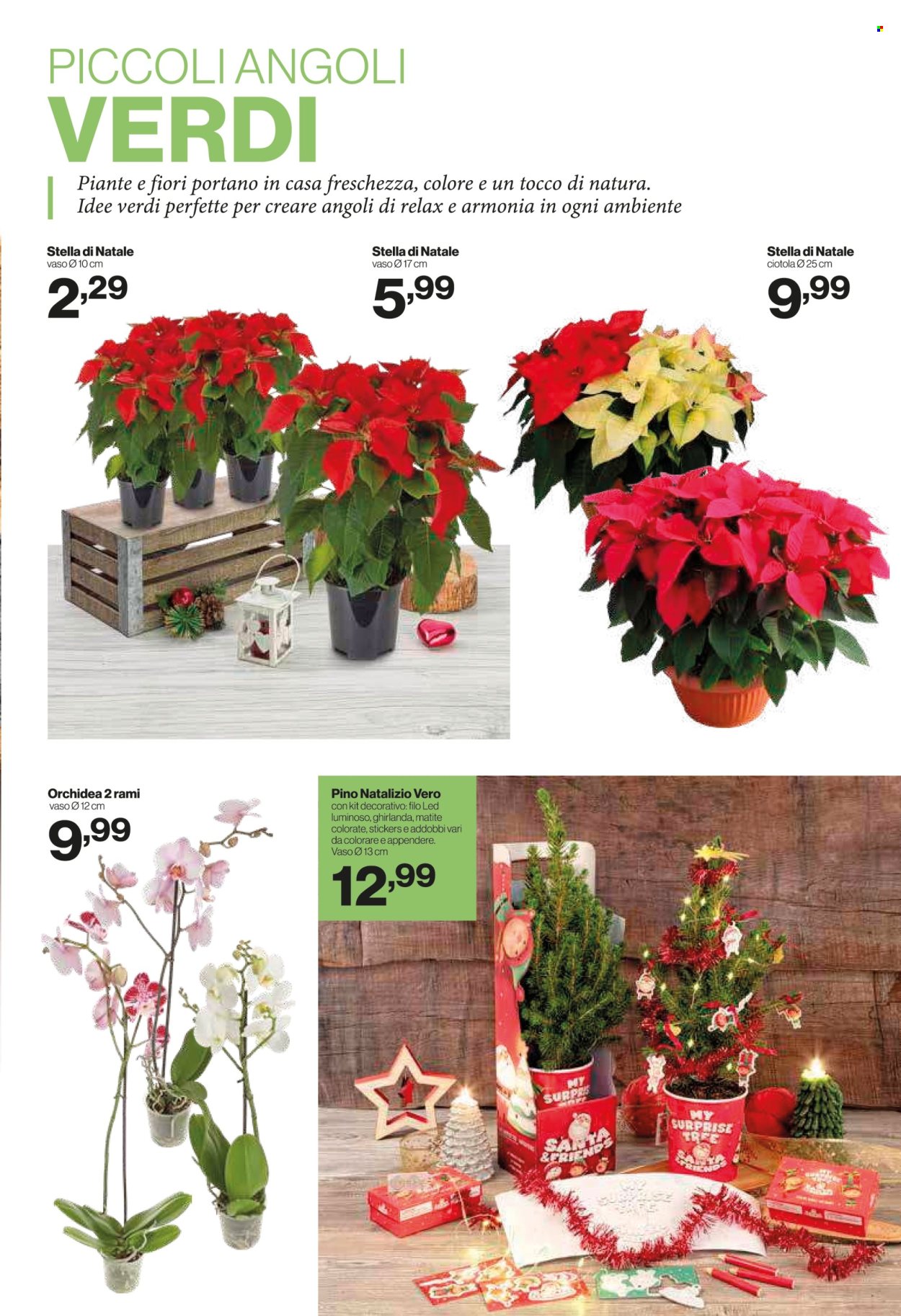 Volantino iN's Mercato - 19/11/2025 - 30/11/2025. Pagina 19