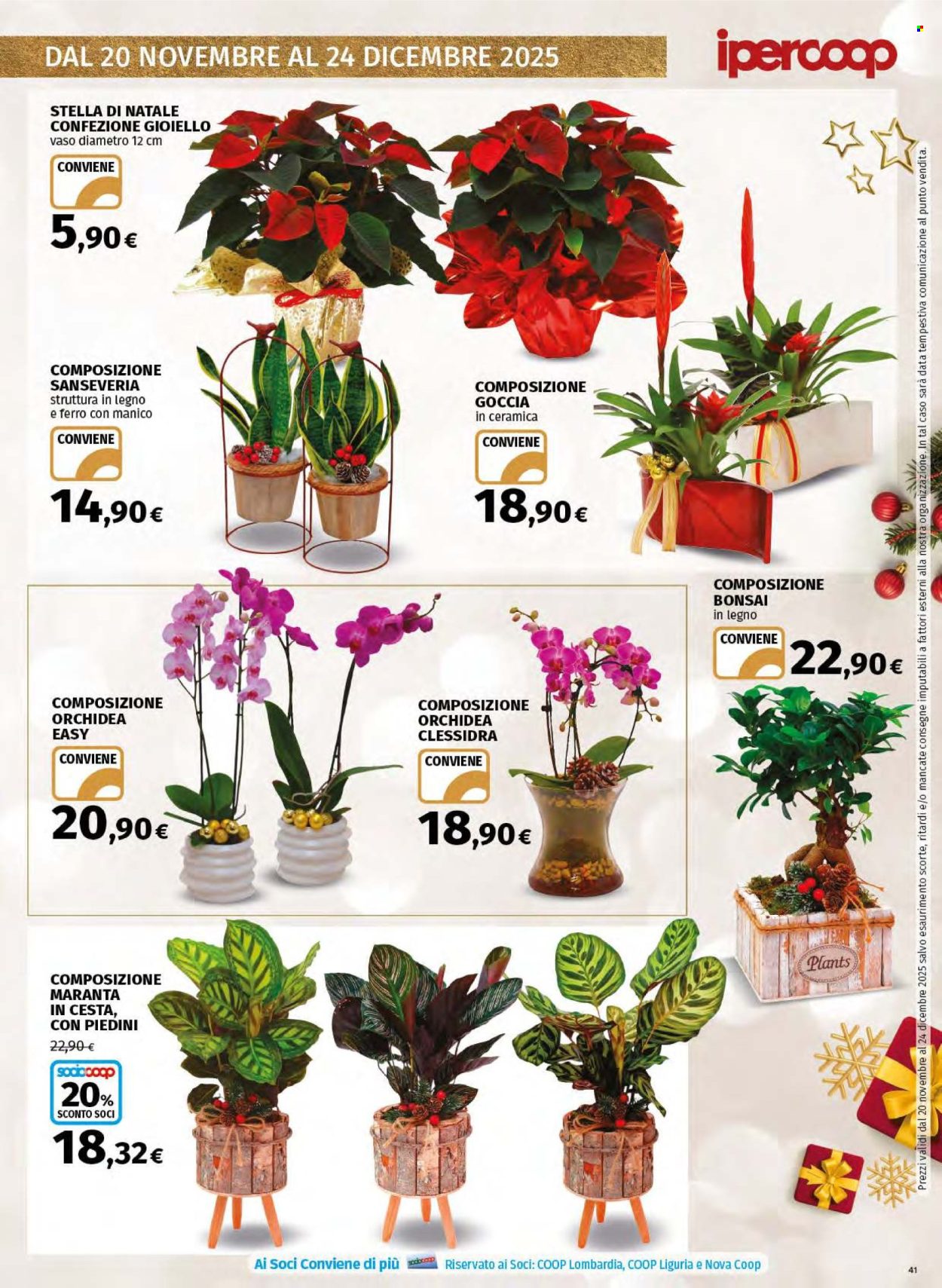 Volantino Coop - 20/11/2025 - 24/12/2025. Pagina 41