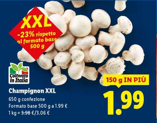Champignon XXL