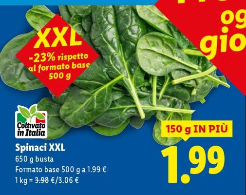 Spinaci XXL
