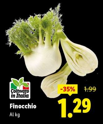 Finocchio