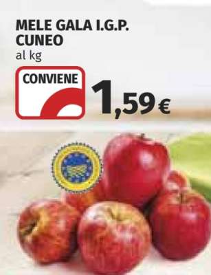 MELE GALA I.G.P. CUNEO