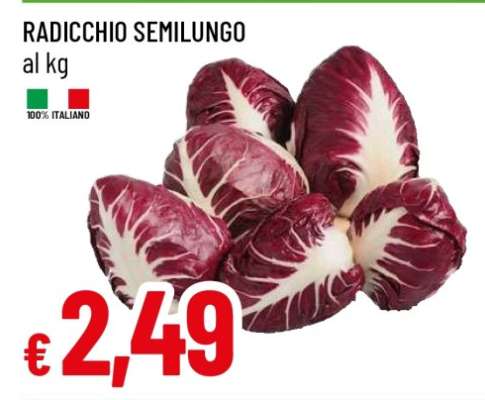 Radicchio Semilungo