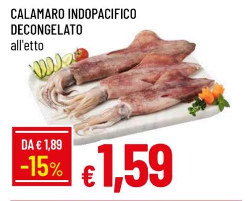 CALAMARO INDOPACIFICO DECONGELATO