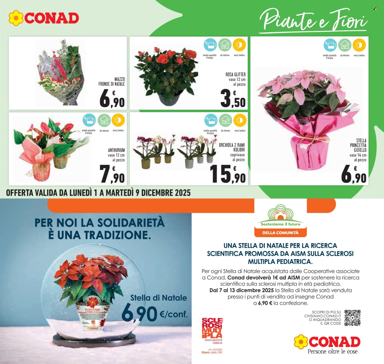 Volantino Conad - 1/12/2025 - 9/12/2025. Pagina 11