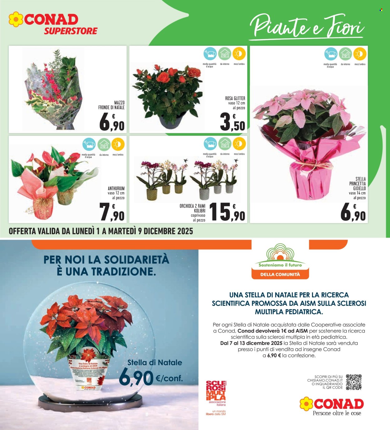 Volantino Conad - 1/12/2025 - 9/12/2025. Pagina 11
