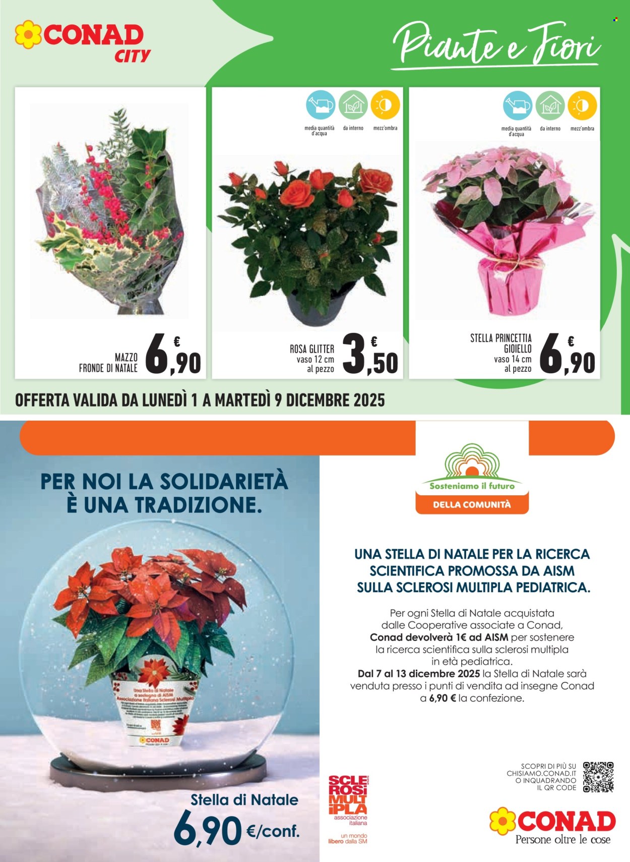 Volantino Conad - 1/12/2025 - 9/12/2025. Pagina 19