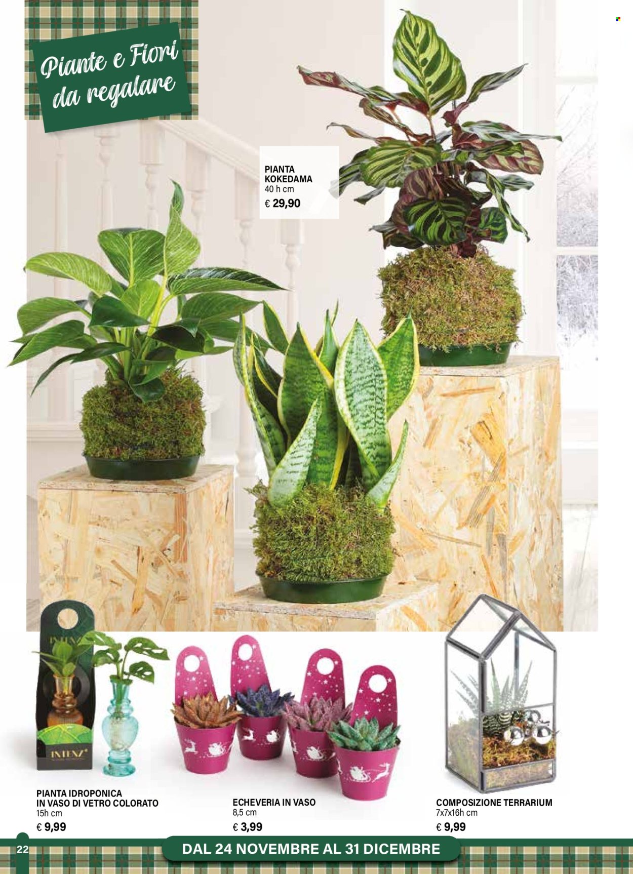 Volantino Il Gigante - 24/11/2025 - 31/12/2025. Pagina 22