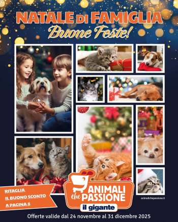 Volantino Il Gigante - 24/11/2025 - 31/12/2025.