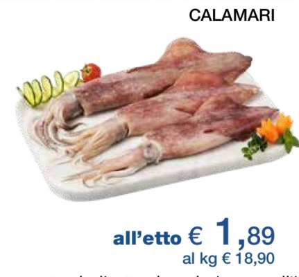 CALAMARI