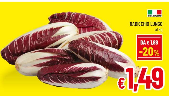 RADICCHIO LUNGO