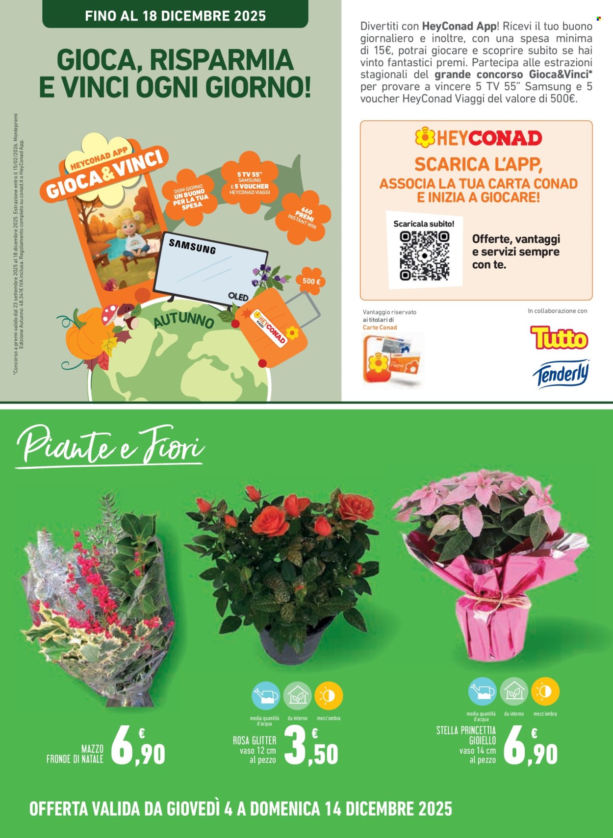 Volantino Conad - 4/12/2025 - 14/12/2025. Pagina 19