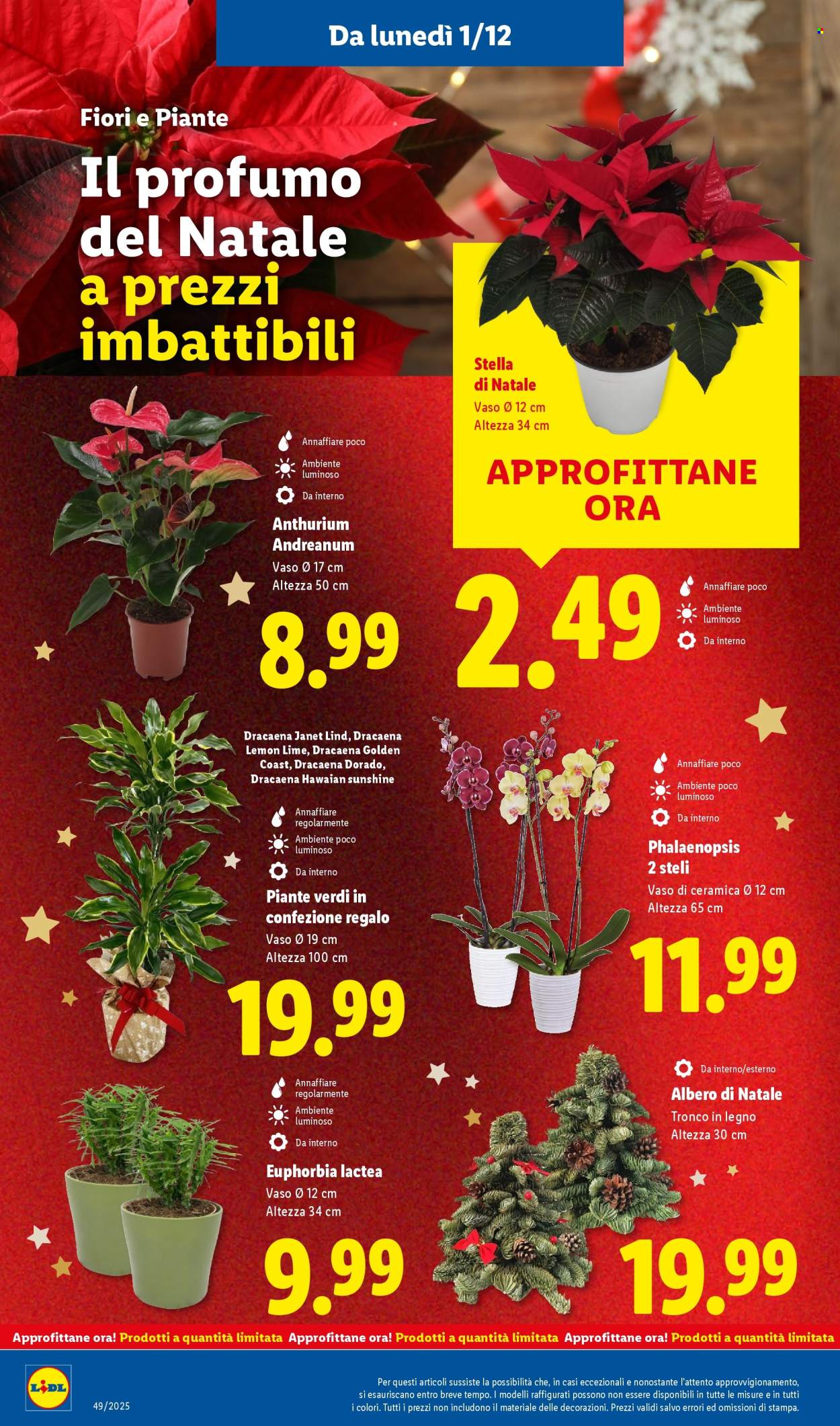 Volantino Lidl - 1/12/2025 - 7/12/2025. Pagina 46