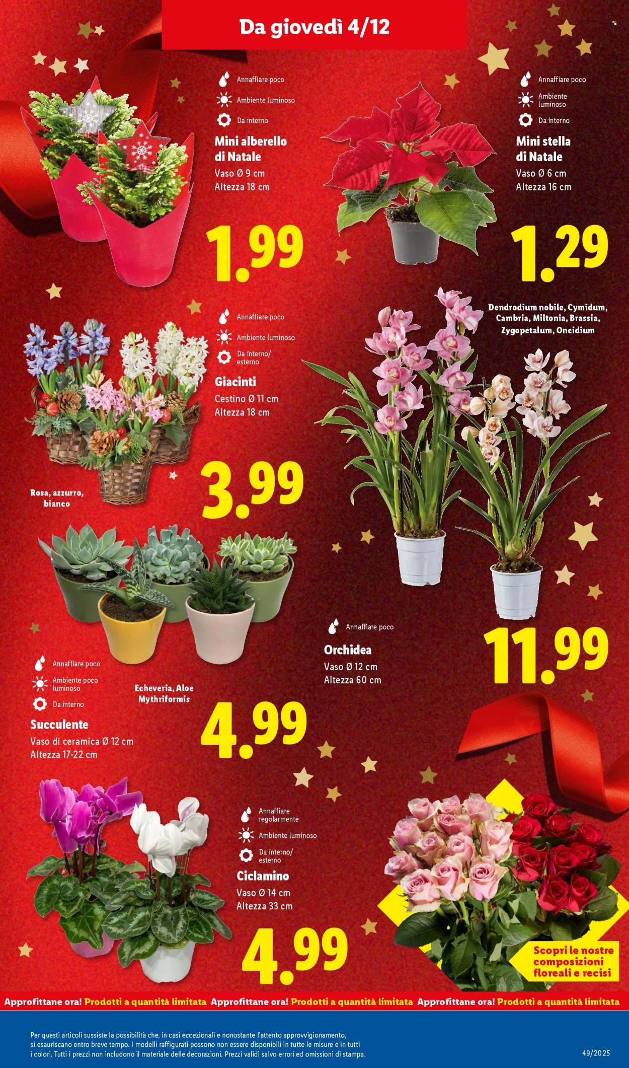 Volantino Lidl - 1/12/2025 - 7/12/2025. Pagina 47