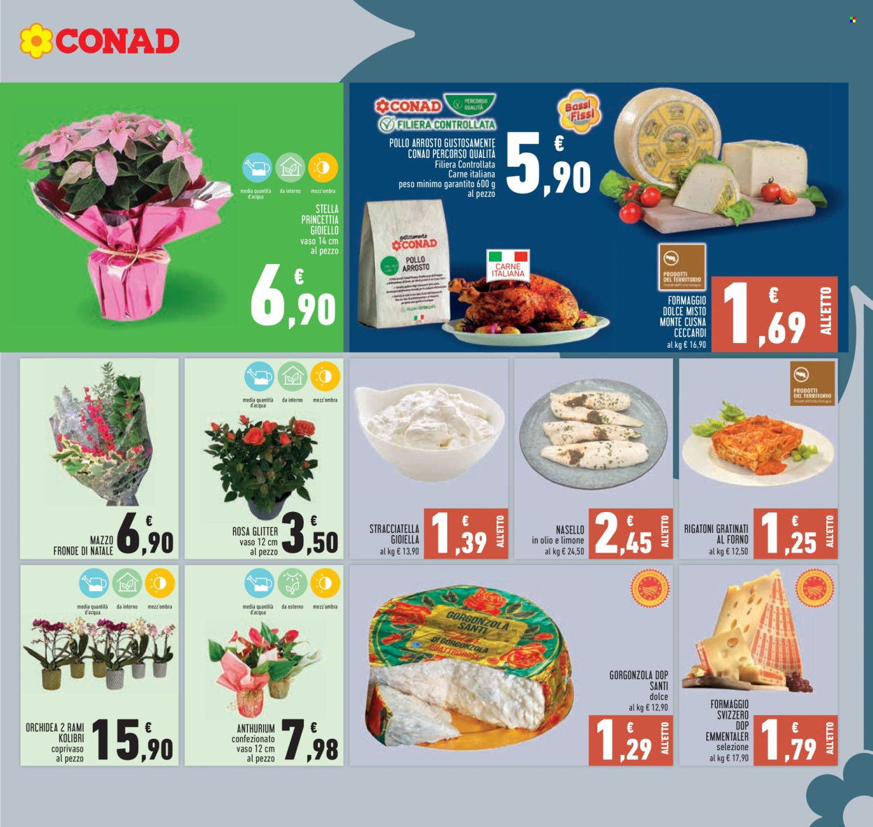 Volantino Conad - 4/12/2025 - 14/12/2025. Pagina 9