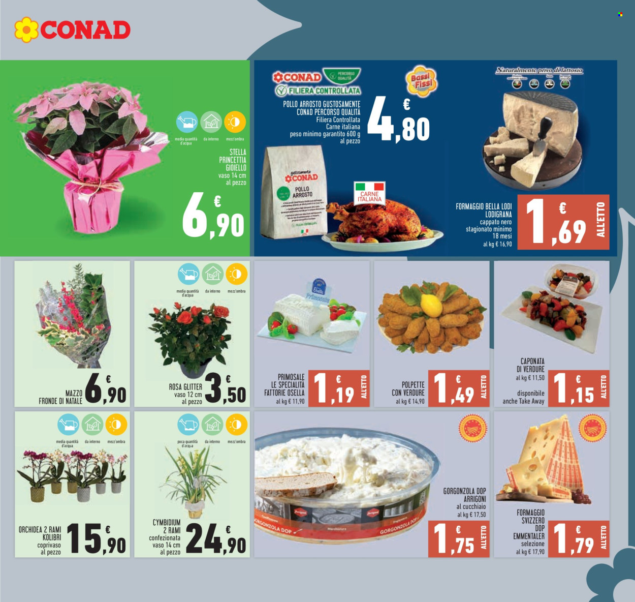 Volantino Conad - 4/12/2025 - 14/12/2025. Pagina 9